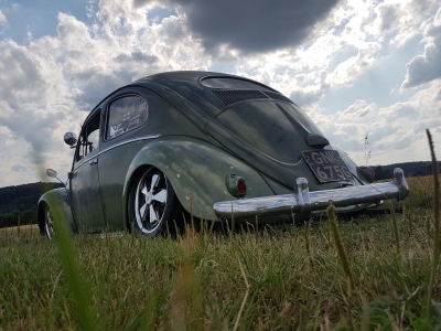 1955 VW KÃ¤fer RHD Ovali in OlivgrÃ¼n